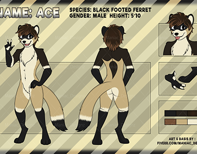 Black Footed Ferret Furry Reference Sheet Done