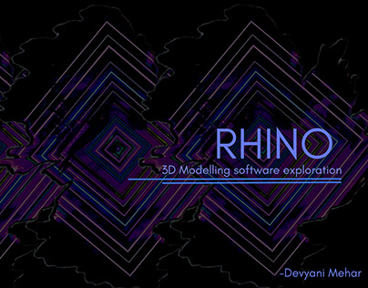 RHINO Software Exploration