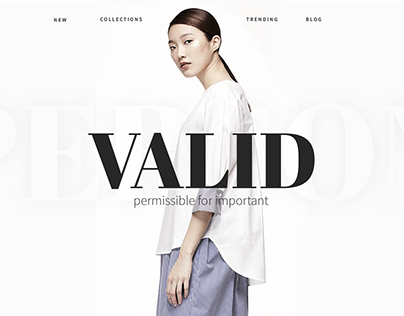 VALID (online store creative)