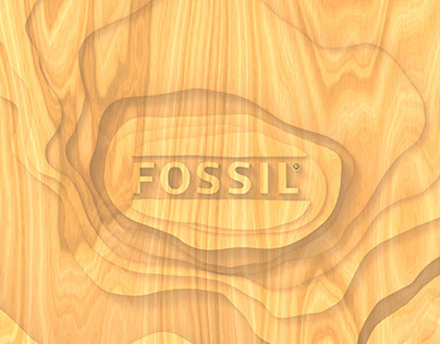 Fossil Processbook