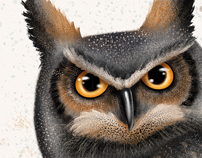 Owl and Hummingbird - sova a kolibřík