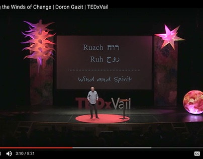 Doron Gazit at TEDxVail Revolution 2017 Conference