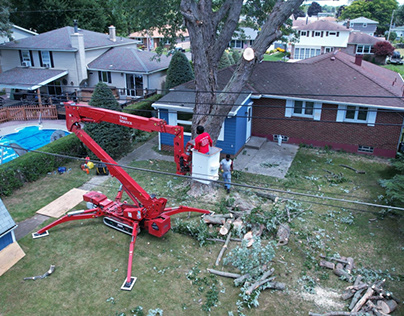 Tree Services in Rochester, NY