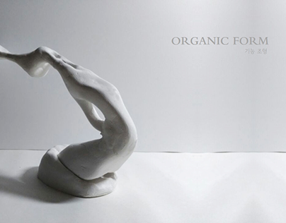 김선진  Organic Form