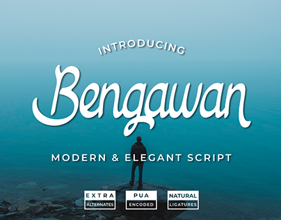 Project thumbnail - BENGAWAN: Modern & Elegant Script