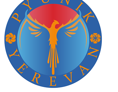 Pyunik FC New Design Idea