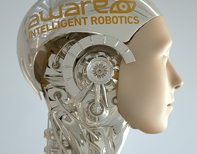 Aware Intelligent Robotics