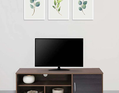 Erity TV Console for TVs up to 43"in Sonoma Oak Finish