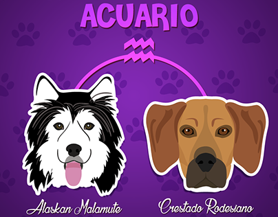 Dogs according to your Zodiac Sings