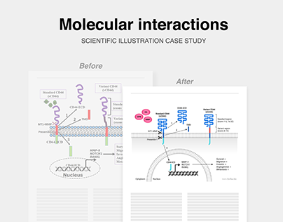Scientific illustration of molecular interactions