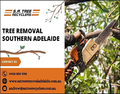 Tree Removal Adelaide - Stump Removal