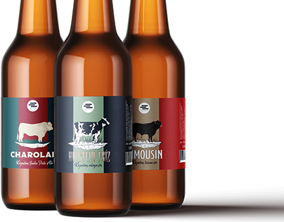 Craft Beer Brand Identity and Packaging Design