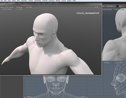 Anatomy 3d modelling male