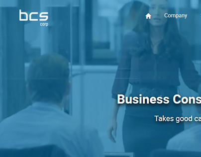 Bcs Consulting Company