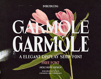 Garmole – Elegant Serif Font - FREE Font