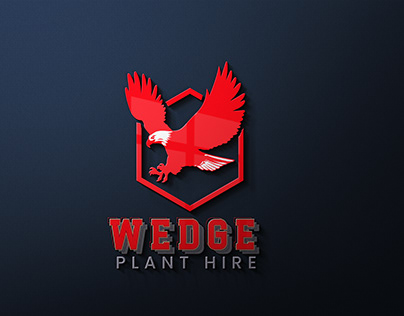 Modern Logo Design (Eagle)