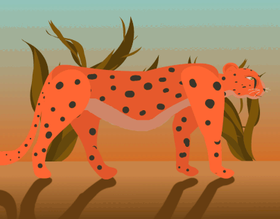 2D Animation - 4 Leg Walk Cycle - Cheetah