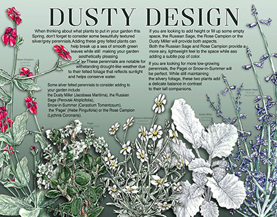Dusty Design