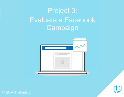 Evaluate a Facebook Campaign