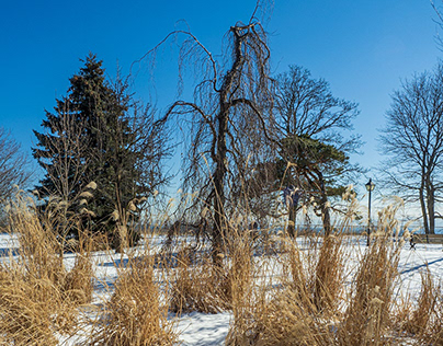 Secret Garden - Rosetta McClain Park in Winter