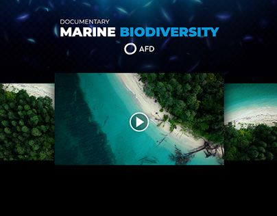 Preserving marine biodiversity in West Papua