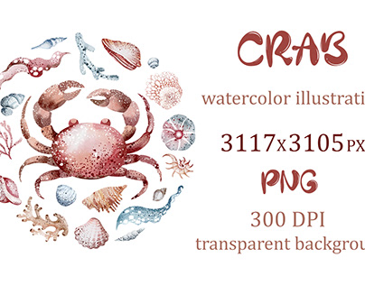 Project thumbnail - Crab illustration | Sublimation design
