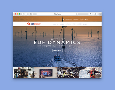 EDF Website