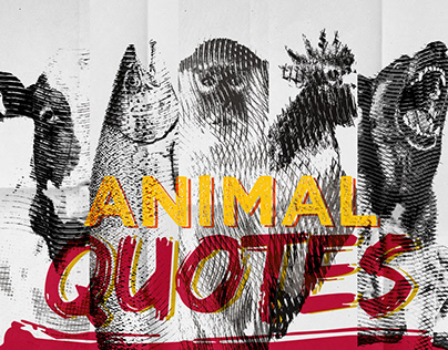 Animal Quotes