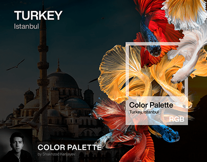 Color palette Turkey, Istanbul (RGB)