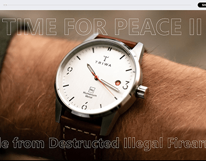 TIME FOR PEACE 2 onepage design