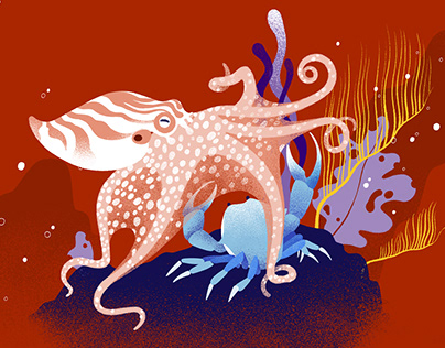 Cephalopods from Head to Toe