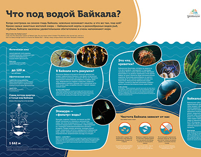 Инфографика о Байкале