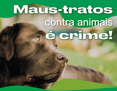 Maus-tratos contra animais é crime!