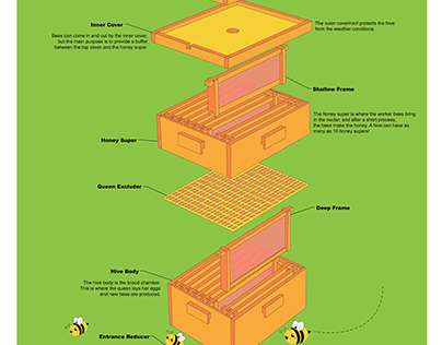 Anatomy of a Beehive - Philly Flower Show 2024 Poster