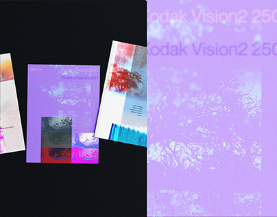 Project thumbnail - / rosedal de bs as / postales experimentales