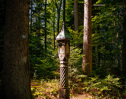 Forest-Monument