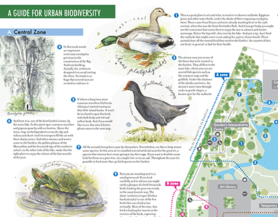 A guide for urban biodiversity in Lisbon