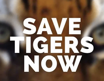 Save Tigers Now