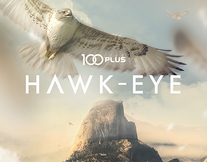 Hawk-Eye - Virtual Reality