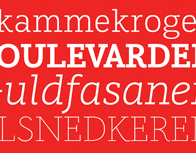 The typeface KarloSerif