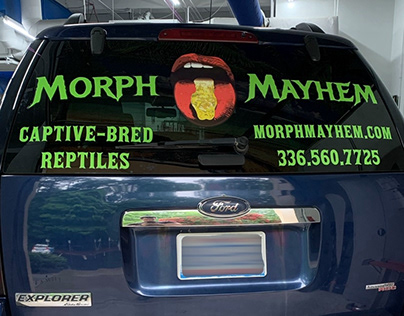 Morph Mayhem Vehicle Graphics