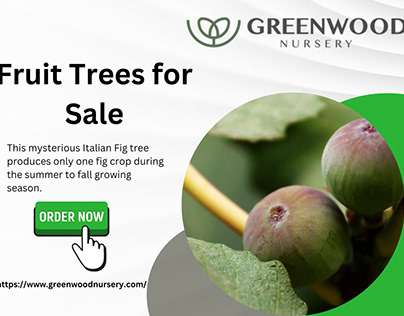 Fruit Trees for Sale: Shop Now for Fruit Delights