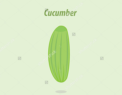 cucumber vector 665627965