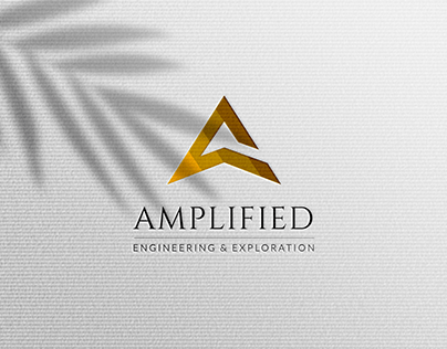 Branding: Amplified Engineering & Exploration