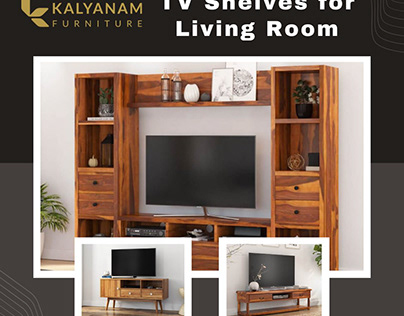 TV Shelves for Living Room