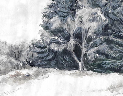Landscape Study: Winter Woods