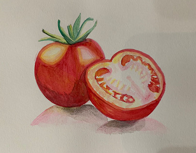 Ilustração Tomate (Aquarela)