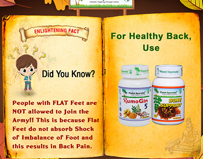 Herbal Medicines For Healthy Back