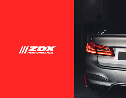ZDX Performance, Branding & Website
