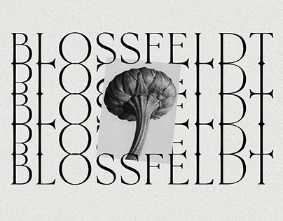 Karl Blossfeldt website design concept